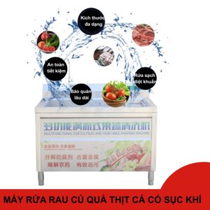 Máy rửa rau củ quả công nghiệp có sục khí ozon